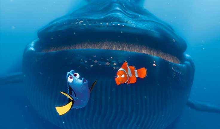 finding-dory-2015-film-rumours-speaking-whale3