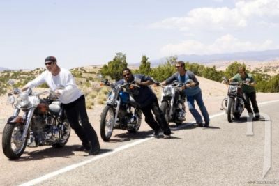 dive-svine-divocaci-5