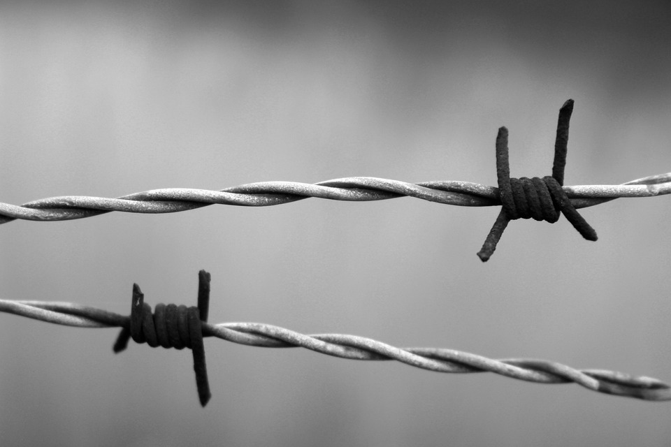 barbed-wire-1269430_960_720