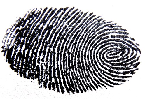 fingerprint-456483__340