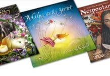 Nástěnné kalendáře 2025: Život, ženy i kočky